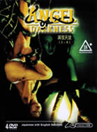 Angel of Darkness (X) (#1-5) back in stock!