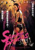 Samurai Princess (2009)